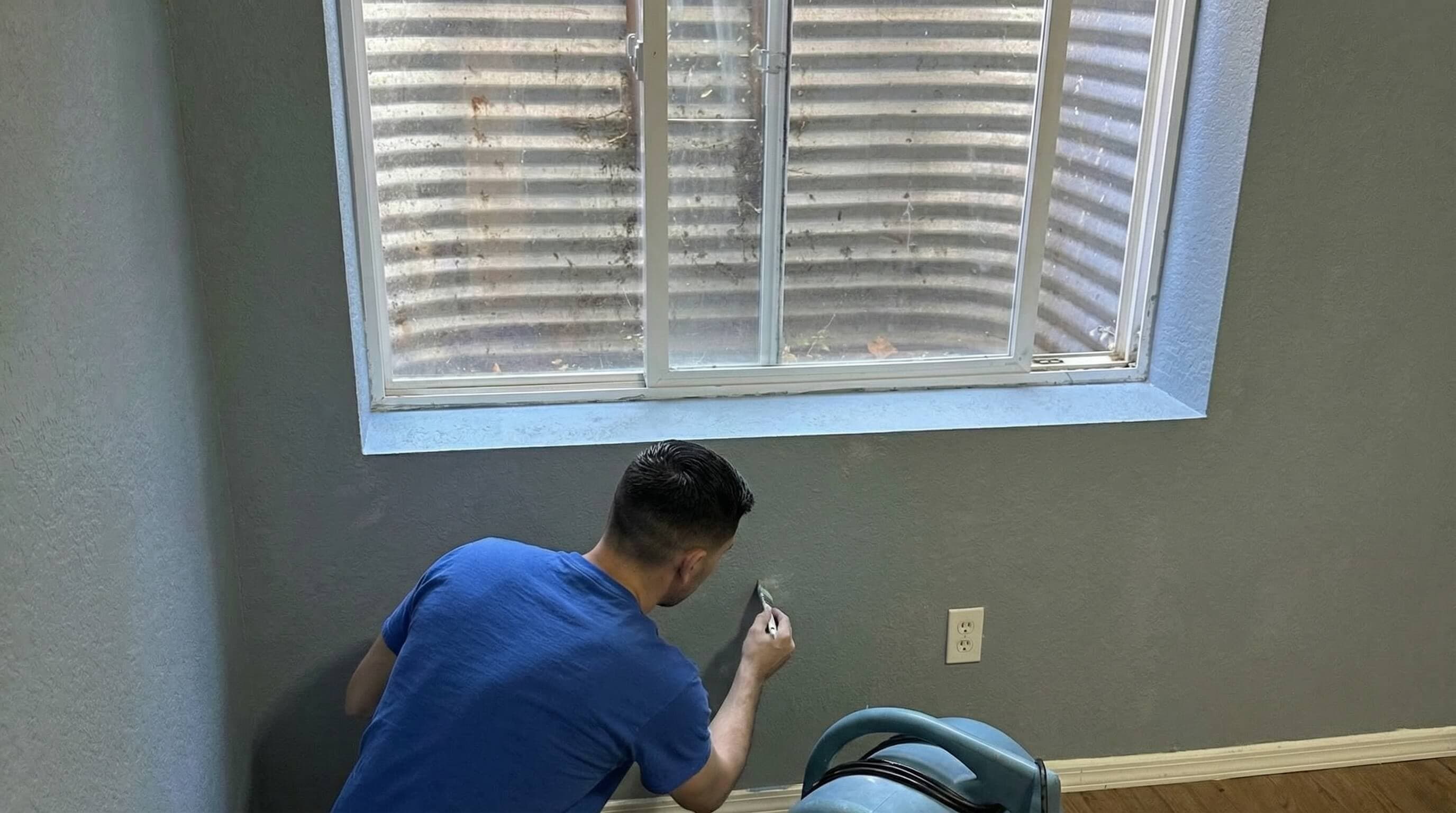 Mold Removal Express Case Study